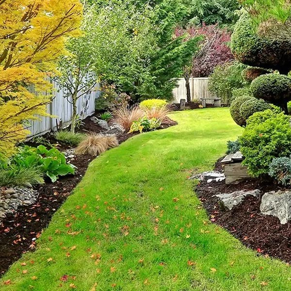 landscaped backyard