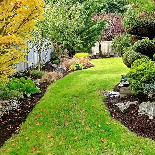 Potted Luck Landscape